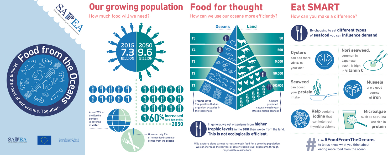 Challenging Infographics for the European Commission