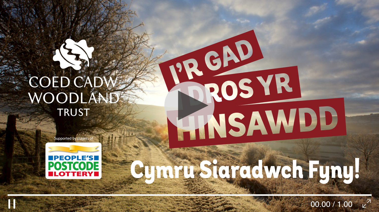 Creating social media video for Coed Cadw / the Woodland Trust