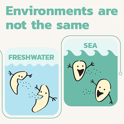 Illustration of plastic digesting microbes in environment