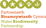 Wales Biodiversity Partnership logo