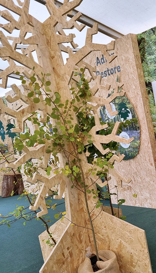 woodland trust exhibition